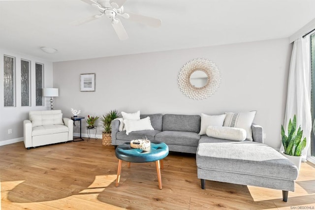 living room featuring hardwood / wood-style flooring and ceiling fan