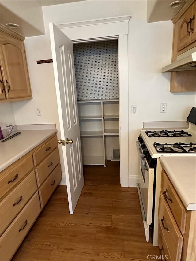 3049 Mulberry St, Riverside, CA 92501 - photo 10
