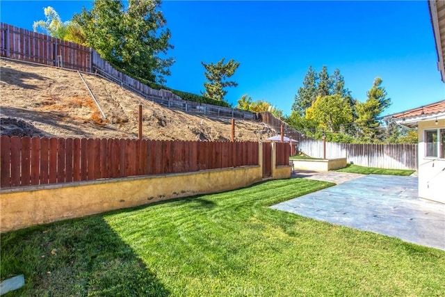 view of yard with a patio