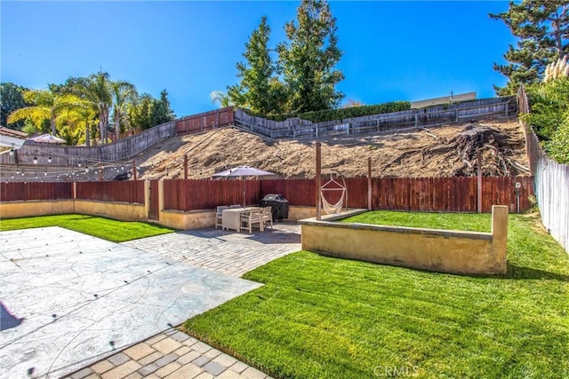 view of yard with a patio and exterior kitchen