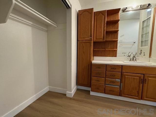 bathroom with hardwood / wood-style flooring and vanity