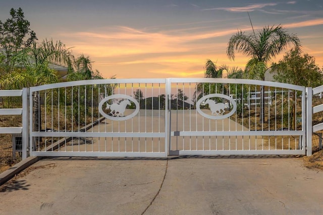 view of gate at dusk