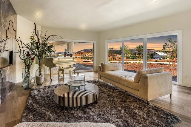 living room with hardwood / wood-style flooring