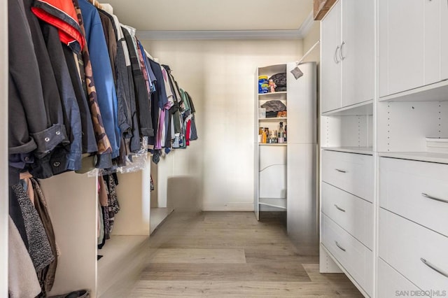 walk in closet featuring light hardwood / wood-style floors