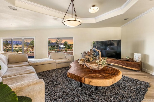 living room with a raised ceiling, crown molding, and wood-type flooring