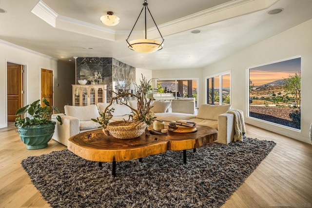 living room featuring hardwood / wood-style floors, a raised ceiling, and ornamental molding