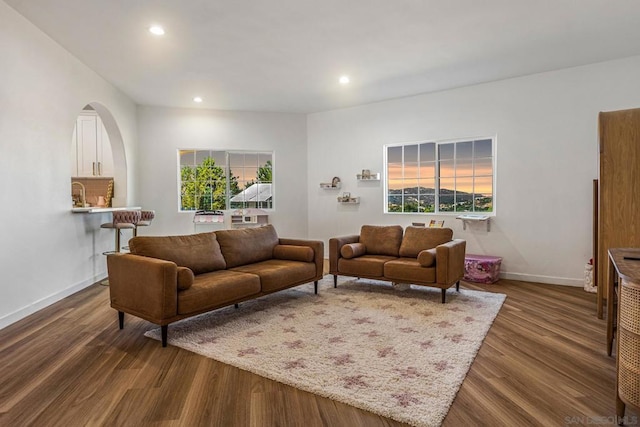 living room featuring dark hardwood / wood-style floors and a wealth of natural light