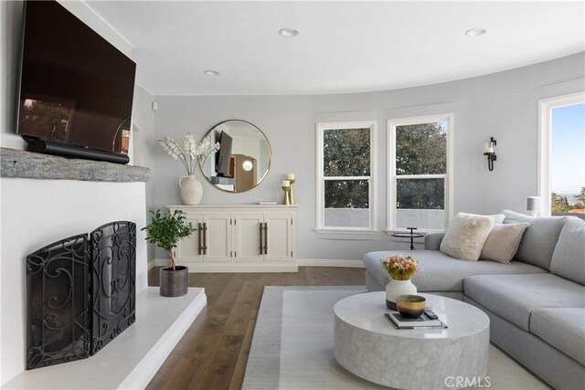 living room with hardwood / wood-style floors