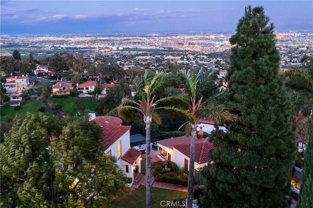 bird's eye view