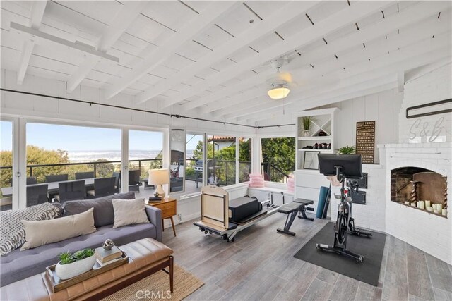 workout area featuring wood-type flooring, plenty of natural light, and lofted ceiling