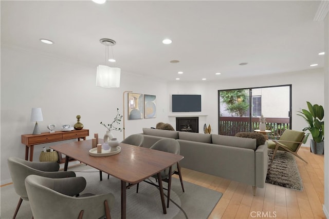 living room featuring light hardwood / wood-style flooring