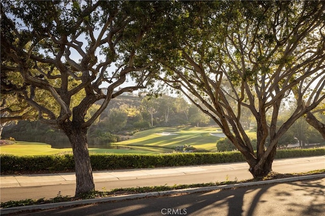 56 Royal Saint George Rd, Newport Beach, CA 92660 - photo 47