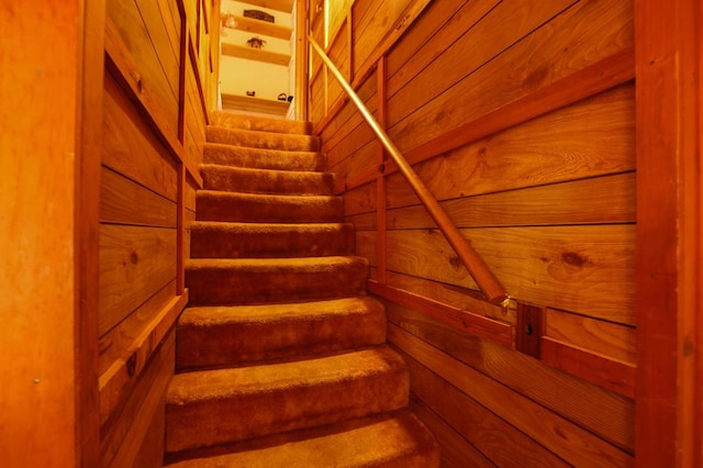 stairway with wooden walls