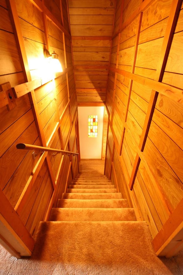 staircase featuring wood walls