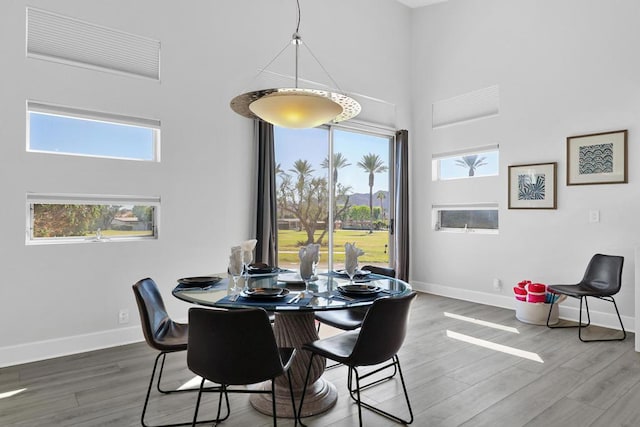 dining space featuring wood-type flooring and a high ceiling