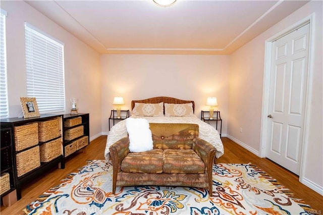 bedroom with wood-type flooring