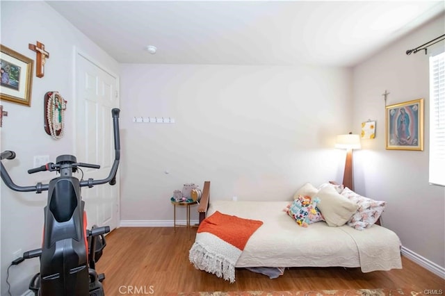 bedroom featuring wood-type flooring