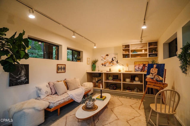 living area with rail lighting