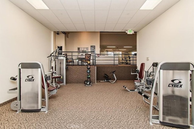 gym with a paneled ceiling and carpet floors