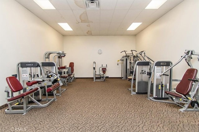 exercise room featuring carpet