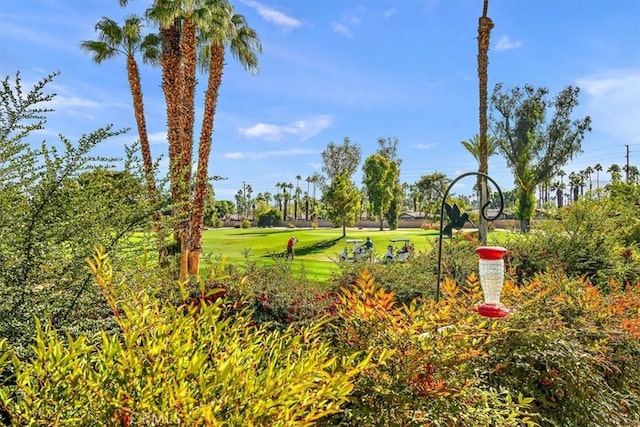 view of home's community featuring a lawn