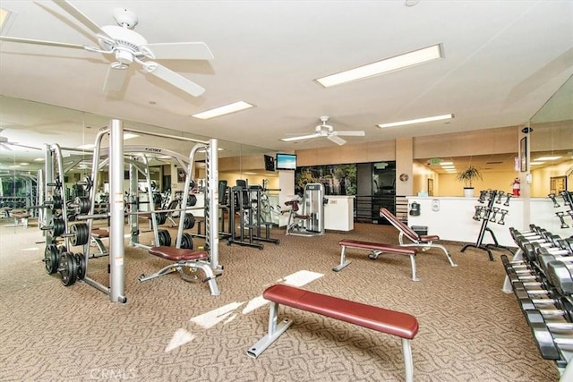 workout area with ceiling fan and carpet floors