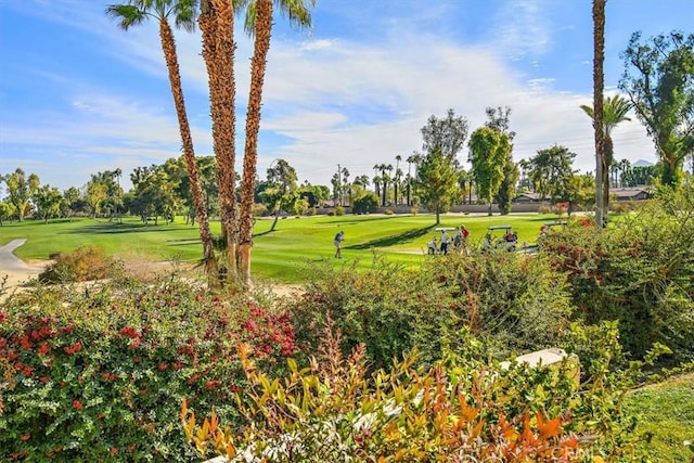 view of property's community with a lawn