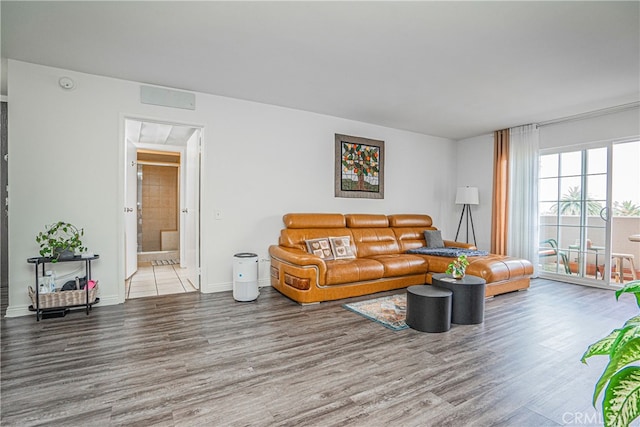 living room with wood-type flooring