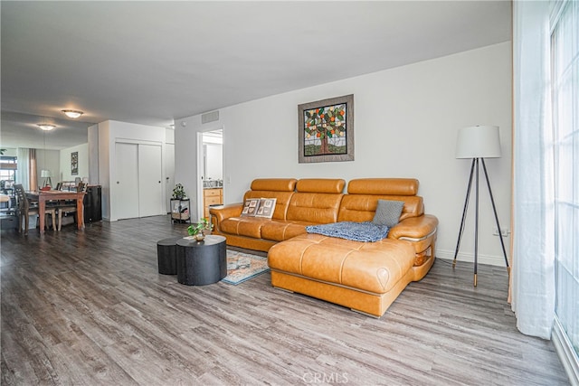 living room with hardwood / wood-style flooring