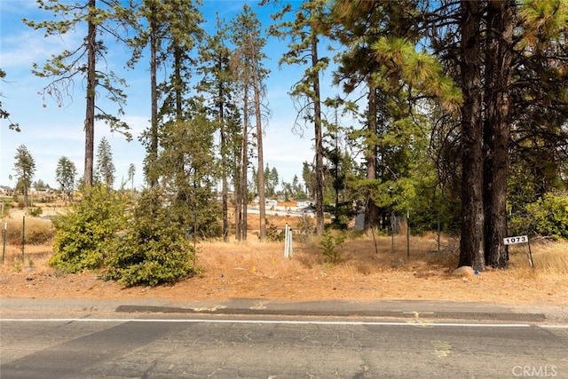 1073 Elliott Rd, Paradise CA, 95969 land for sale