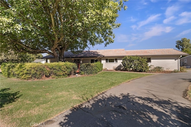 ranch-style house featuring a front yard