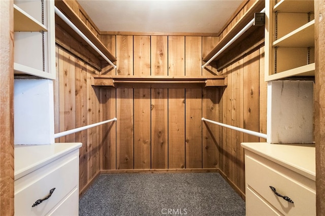 spacious closet with dark carpet