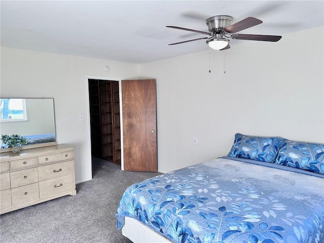 bedroom featuring ceiling fan, a walk in closet, and carpet flooring