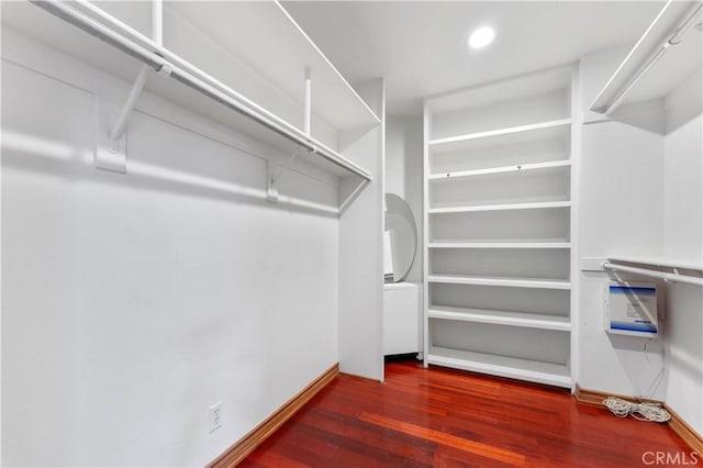 walk in closet with dark hardwood / wood-style floors