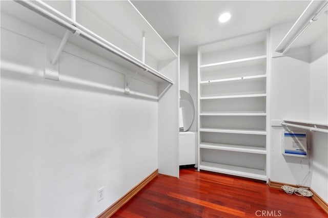 spacious closet featuring dark wood-type flooring