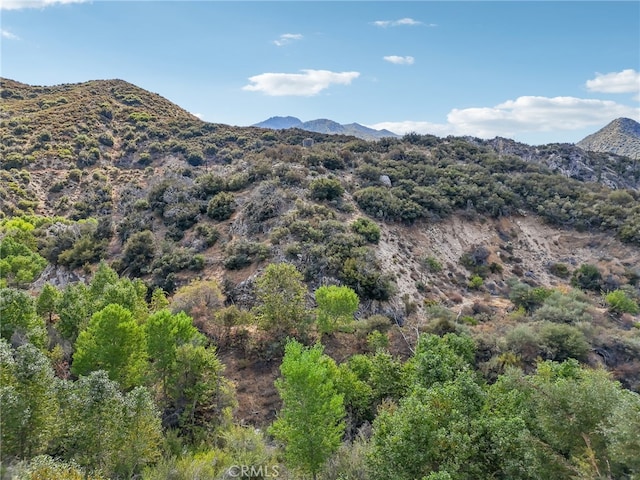 23070 Angeles Frst, Palmdale CA, 93550 land for sale