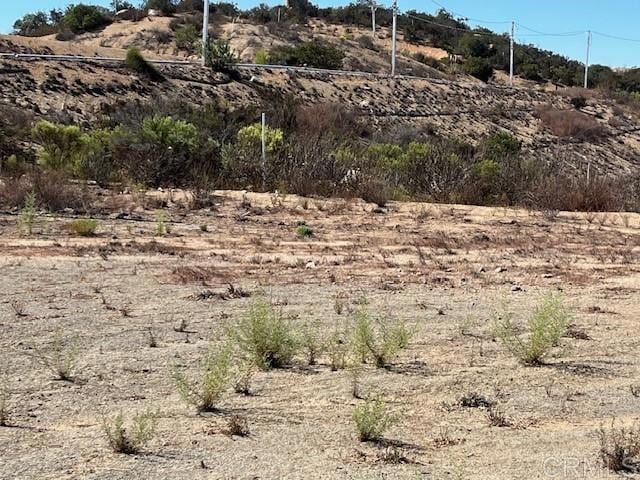 view of local wilderness