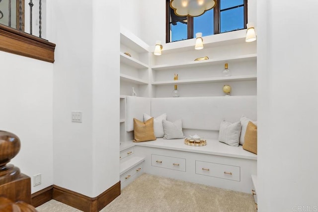 mudroom with light carpet