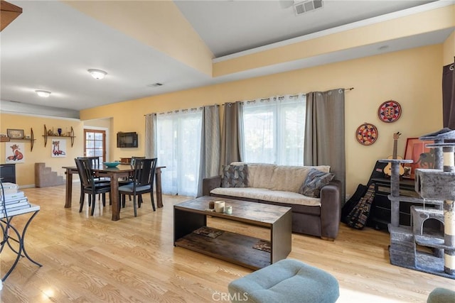 living room with vaulted ceiling, light hardwood / wood-style flooring, and a healthy amount of sunlight