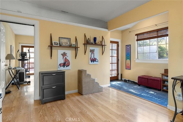 interior space featuring light wood-type flooring and a wealth of natural light