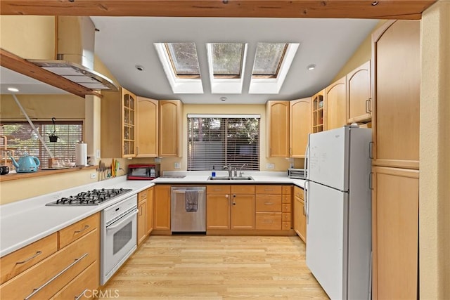 kitchen featuring appliances with stainless steel finishes, sink, a wealth of natural light, and vaulted ceiling with skylight