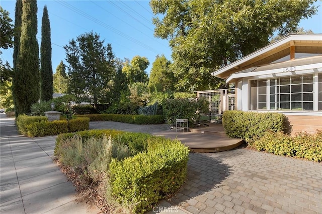 view of yard with a patio area