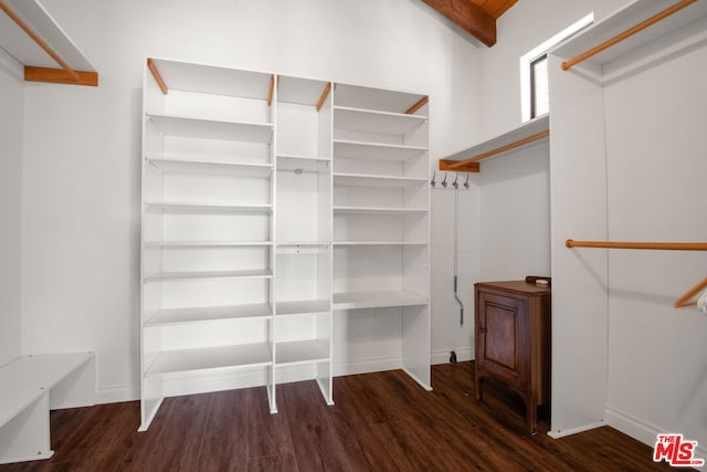 walk in closet featuring dark hardwood / wood-style floors