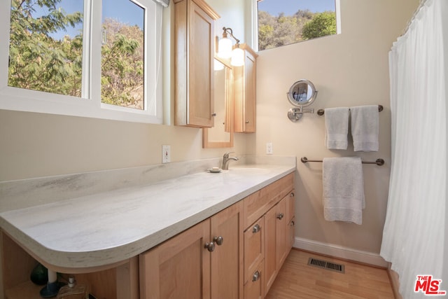 bathroom featuring a healthy amount of sunlight, wood-type flooring, and vanity