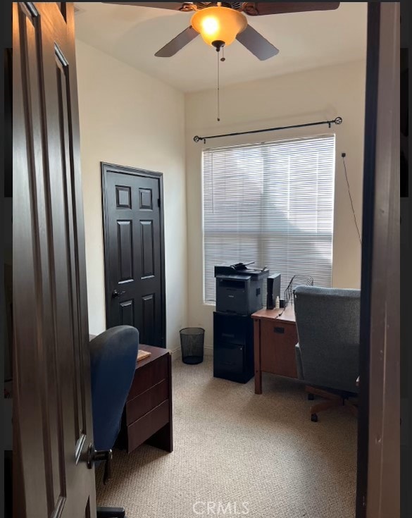 office space with ceiling fan and carpet floors