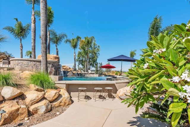 view of swimming pool with a patio