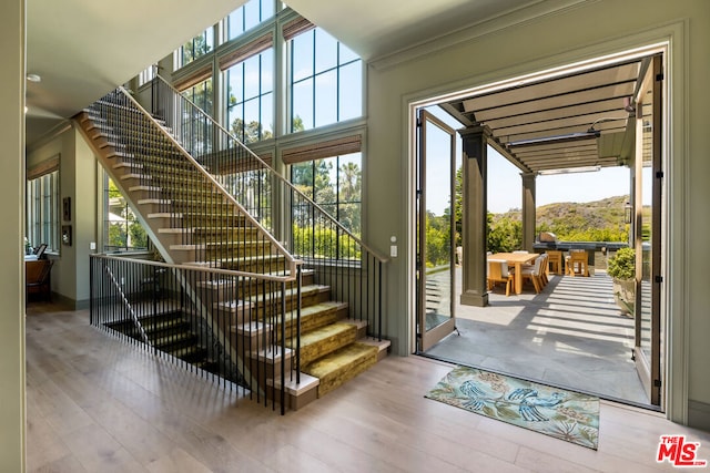 doorway to outside with a mountain view, light wood-type flooring, and ornamental molding