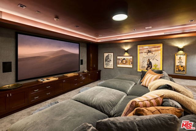 cinema room featuring a tray ceiling