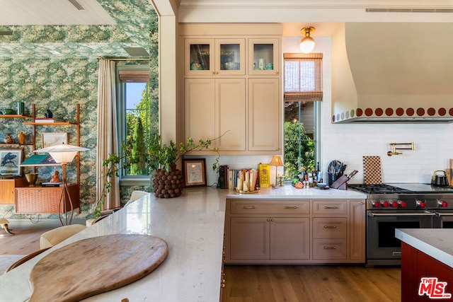 kitchen featuring premium range, light hardwood / wood-style floors, and a wealth of natural light