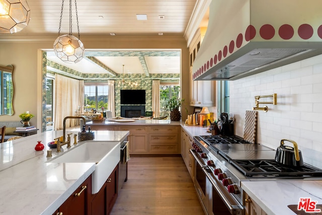 kitchen featuring sink, light hardwood / wood-style floors, crown molding, wall chimney range hood, and appliances with stainless steel finishes